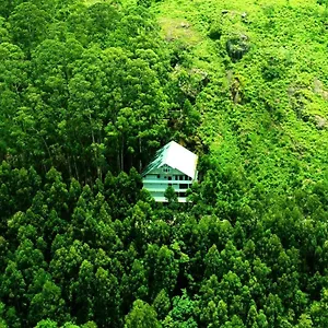 La Flora Spicewood,munnar Hotel